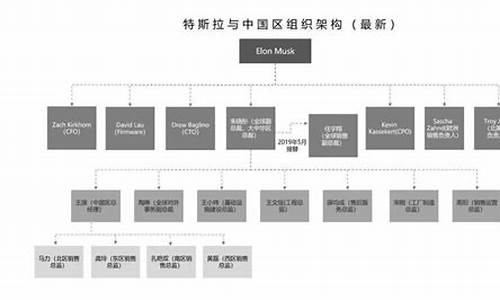 特斯拉组织架构,特斯拉组织架构,12厂