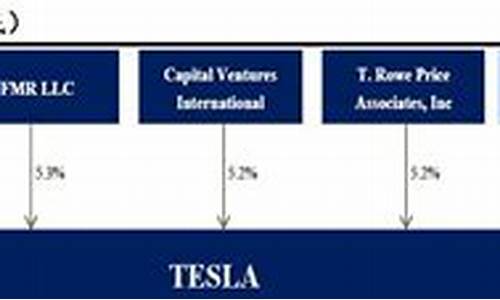 特斯拉公司主要股东_特斯拉公司主要股东有哪些
