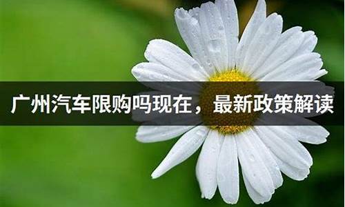 广州购车限制,广州汽车限购政策最新消息通知