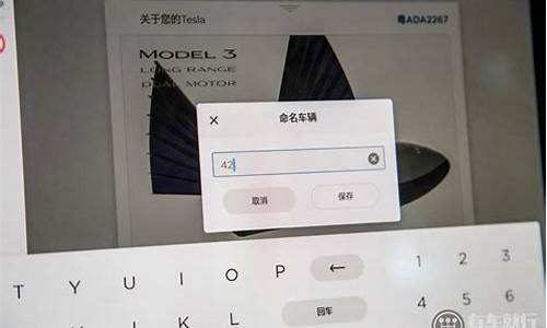特斯拉改名之前叫什么_特斯拉车的名字在哪里改